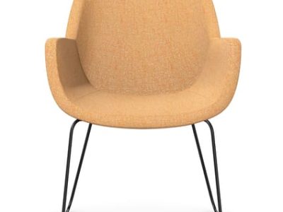 TIANA Meeting/Break-out Chair with Skid Metal Base