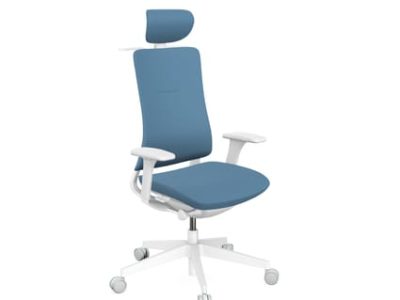 Violle Ergonomic Fabric Backrest Task Chair in Grey Frame with Headrest