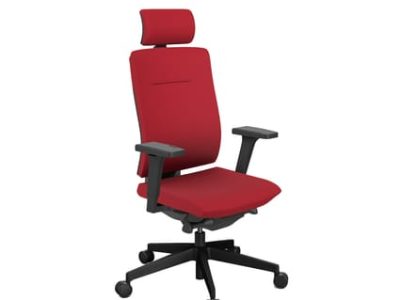 Xenon Task High Backrest Chair with Headrest - Model 11