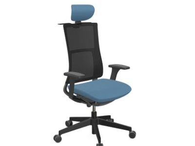 Violle Ergonomic Mesh Backrest Task Chair in Black Frame with Headrest
