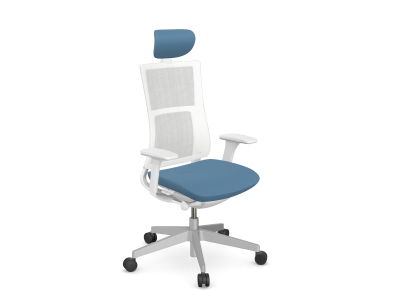 Violle Ergonomic Mesh Backrest Task Chair in Grey Frame