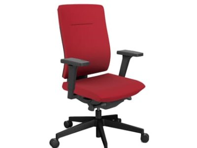Xenon Task High Backrest Chair - Model 10