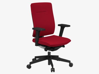 Xenon Task High Backrest Chair - Model 10