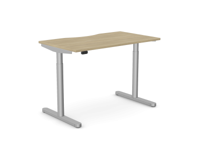 RoundE Home Office Sit Stand Desk