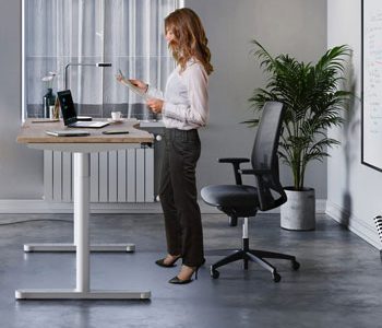 Sit Stand Desks