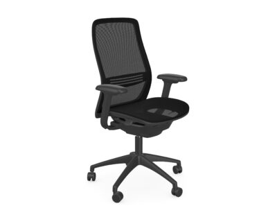 NV Mesh Ergonomic Office Chair