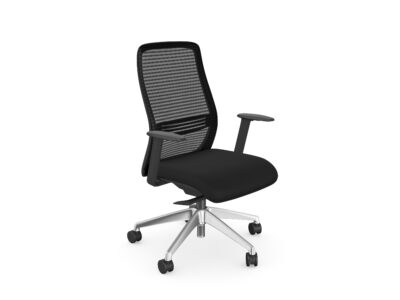 NV - Aluminium Base Ergonomic Chair, Curved Backrest