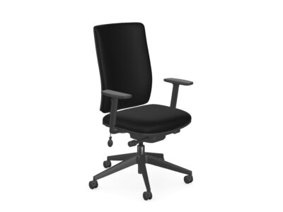 Eirgo Advanced Office Chair