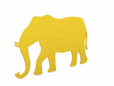 Koala Animal & Dinos Pinboards