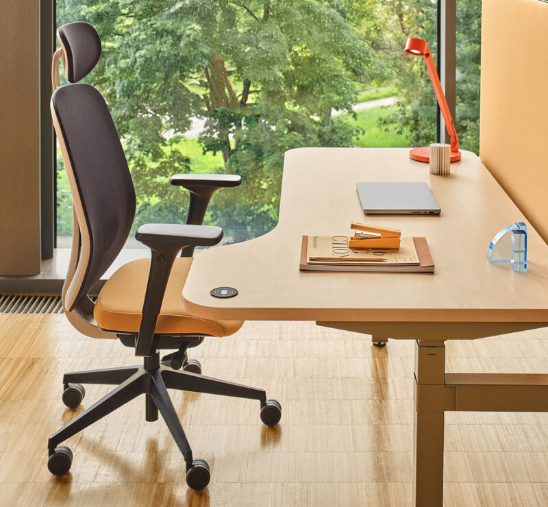 Ollie - Ergonomic Office Chair with Synchronous Mechanism and 4D Armrests 10 Ollie Ergonomic Chair