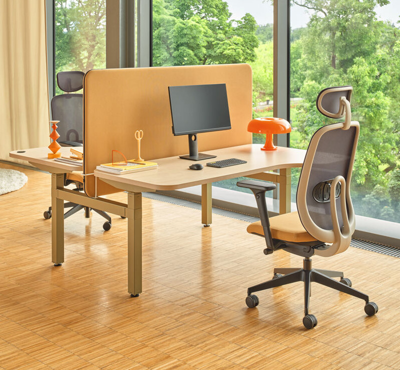 Ollie - Ergonomic Office Chair with Synchronous Mechanism and 4D Armrests 1 Ollie Ergonomic Chair